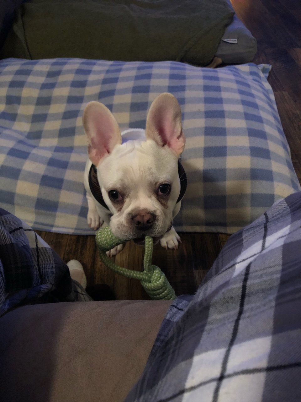 upload_2019-2-8_18-1-5.jpg