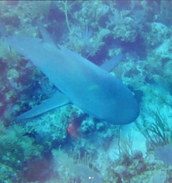 upload_2019-4-17_15-23-18.jpg