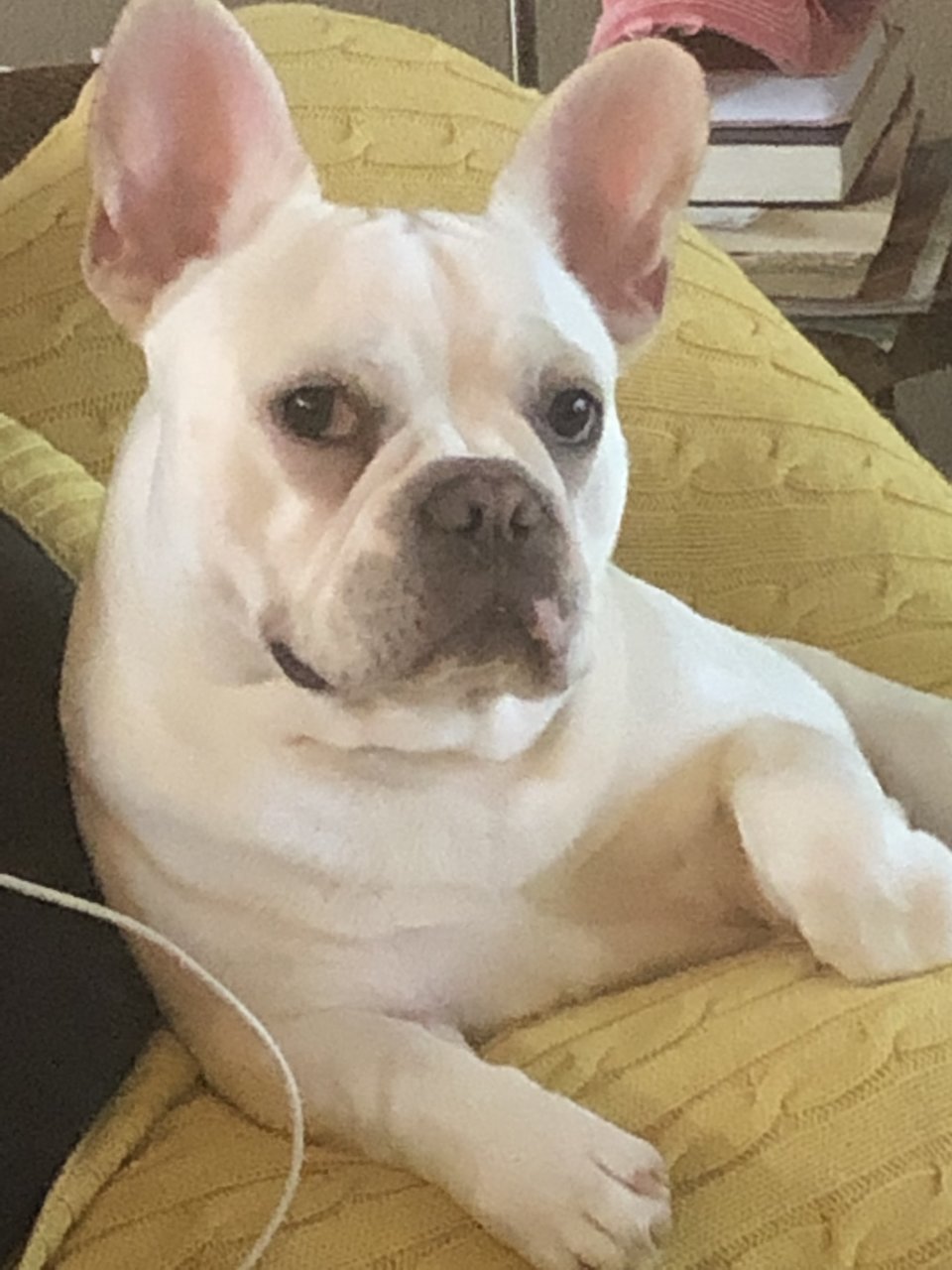 upload_2019-4-3_11-35-4.jpg