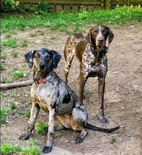 upload_2019-5-22_11-9-10.jpg