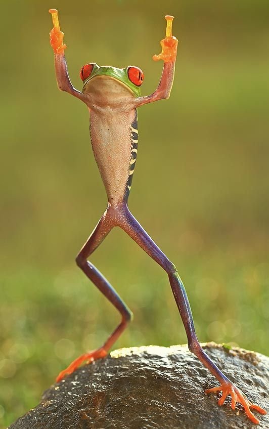 upload_2019-7-24_18-19-36.jpg