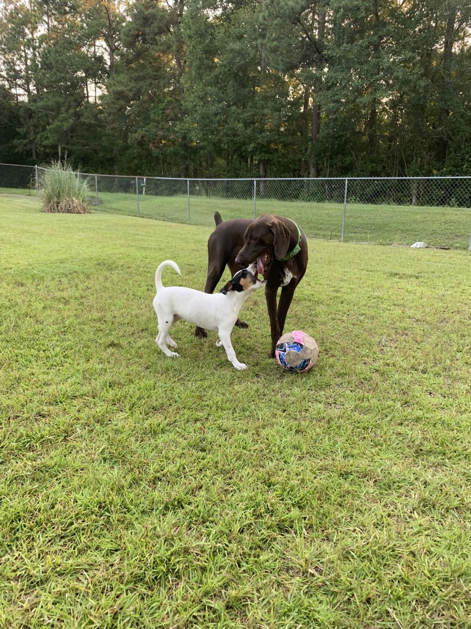 upload_2019-7-26_9-25-25.jpg