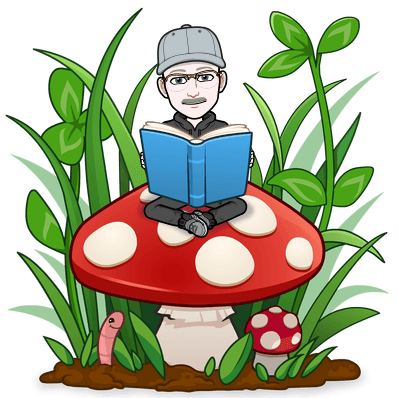 upload_2019-7-29_16-16-35.png