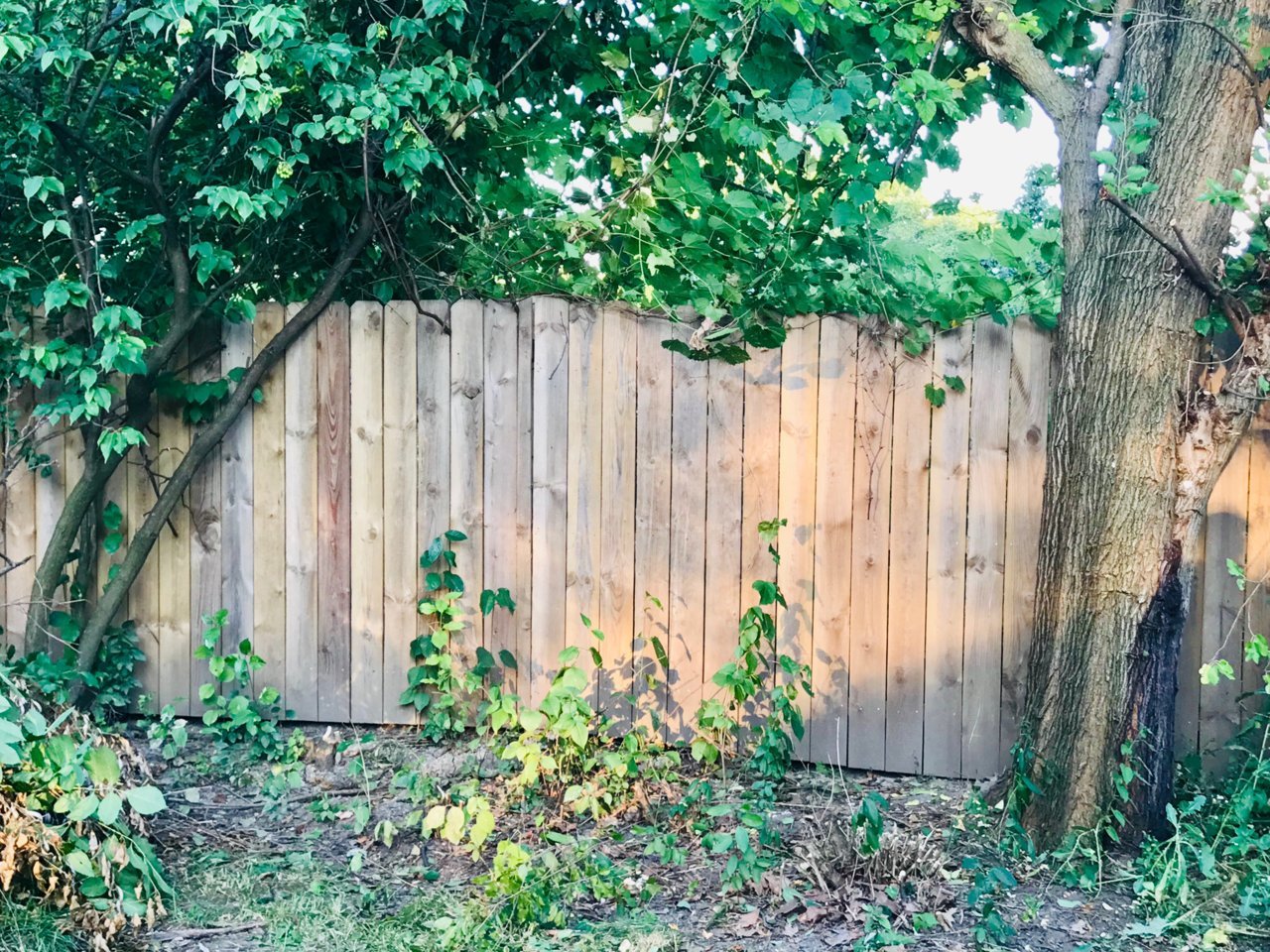 upload_2019-8-6_20-4-3.jpg