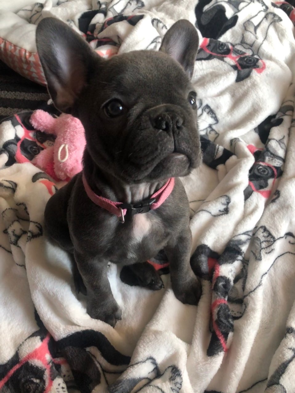 upload_2019-9-16_11-20-34.jpg