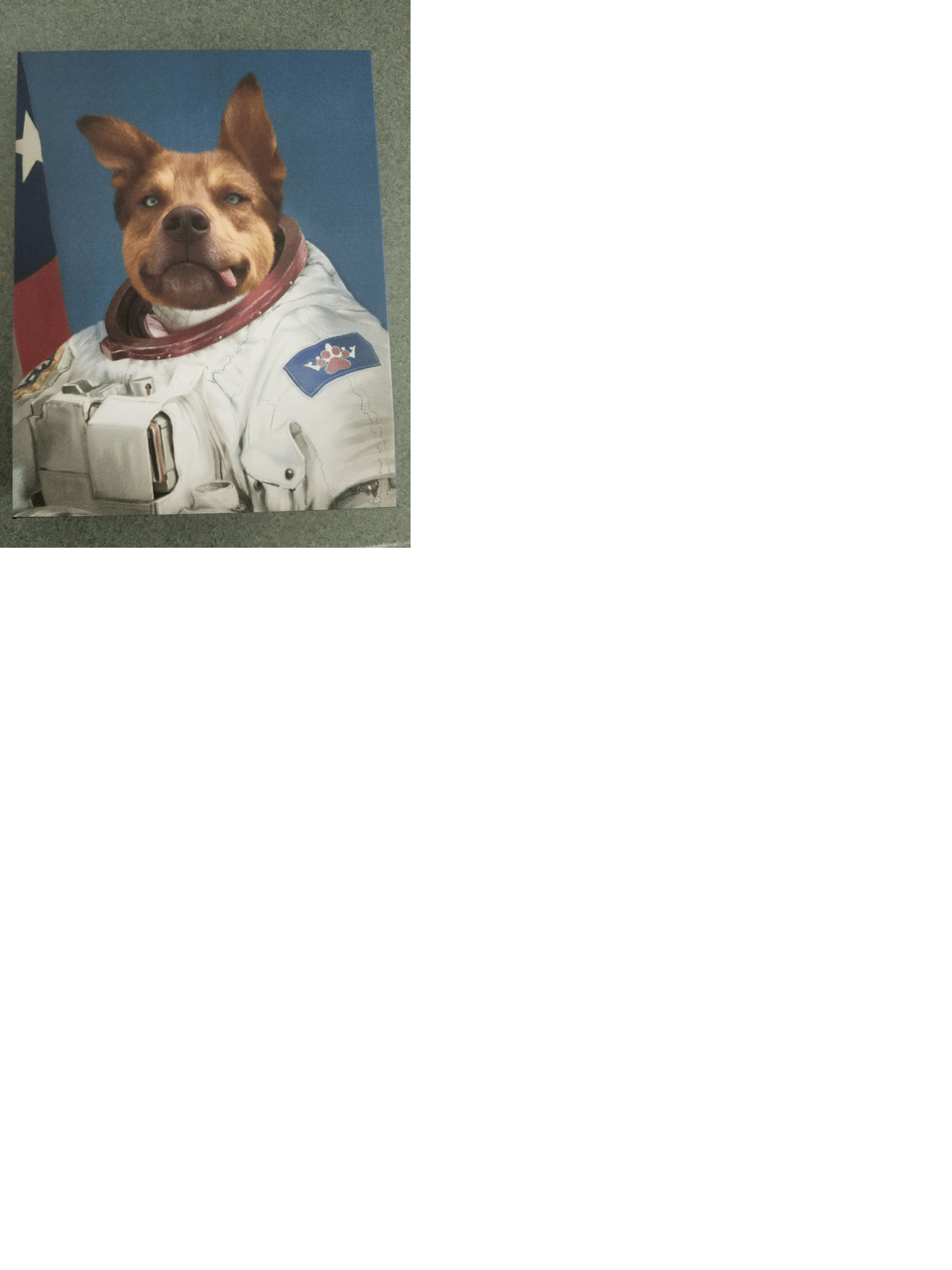 upload_2020-7-31_0-3-56.png