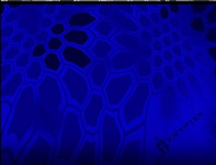 upload_2020-8-19_14-45-30.jpg