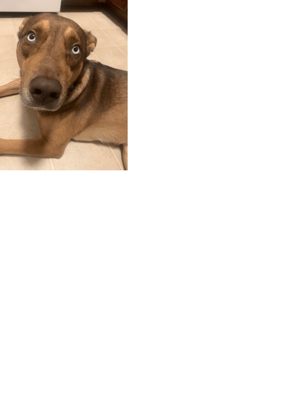 upload_2020-8-7_23-8-22.png
