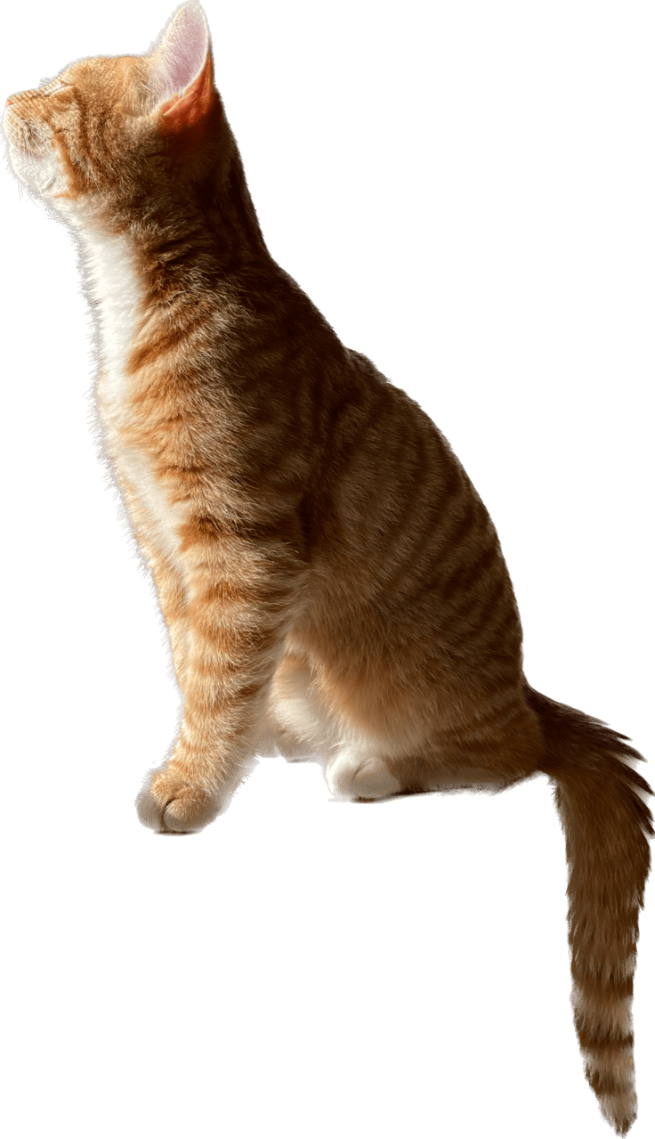 upload_2023-1-4_15-19-4.png