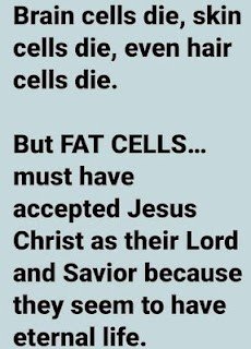 upload_2023-11-17_19-40-24.png
