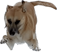 upload_2023-2-6_10-56-54.png