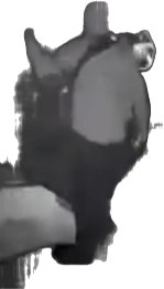 upload_2024-10-4_0-59-11.png