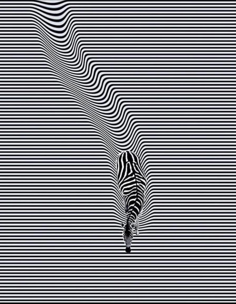 upload_2024-12-24_21-5-15.jpg