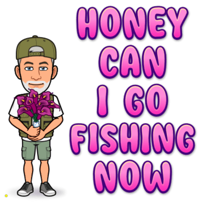 upload_2024-2-22_19-15-46.png