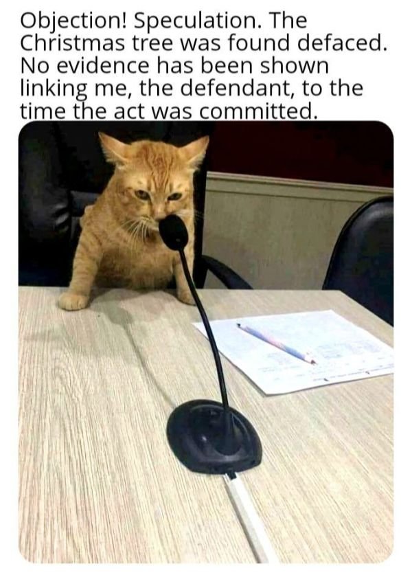 upload_2024-3-8_17-18-50.png