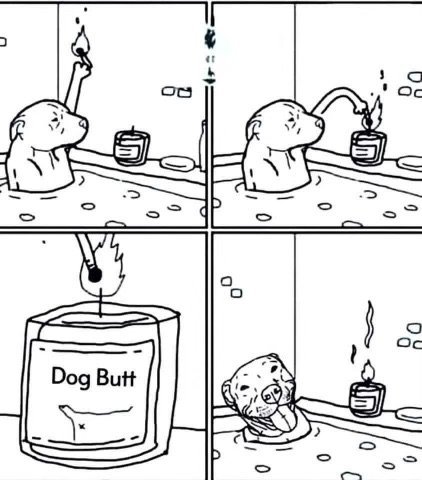 upload_2024-4-10_14-36-1.png
