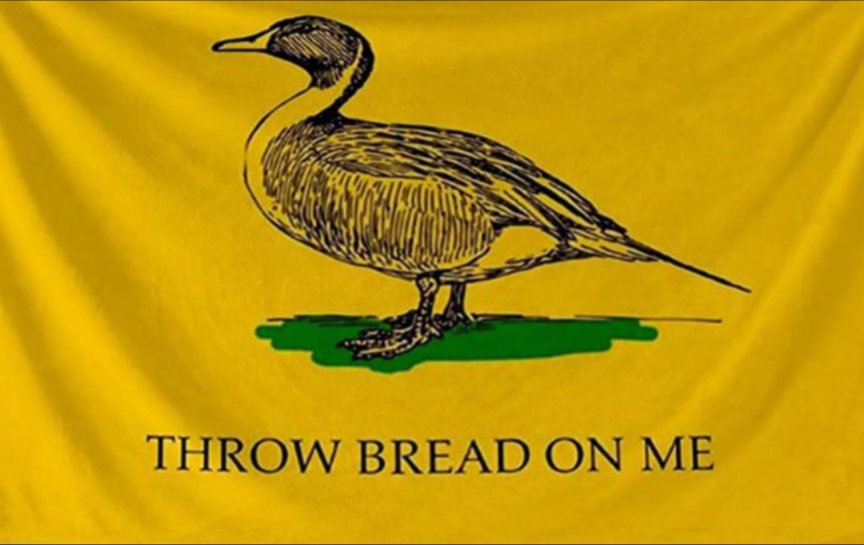 upload_2024-5-12_20-33-54.png