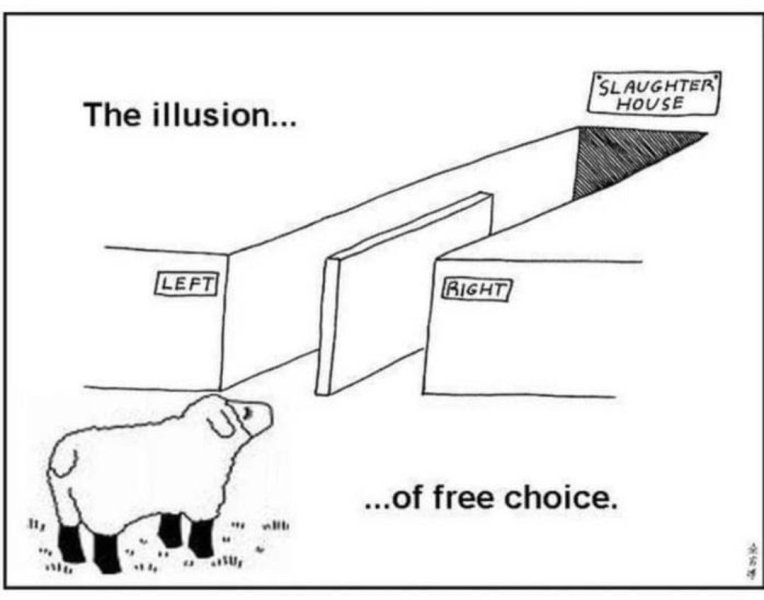 upload_2024-5-5_10-48-33.png