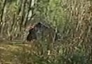upload_2024-5-5_20-54-23.png