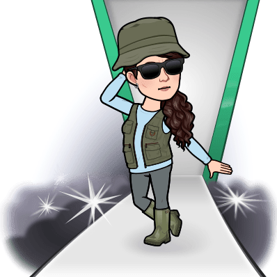 upload_2025-2-10_18-55-57.png