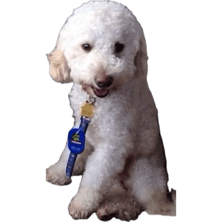 upload_2025-4-3_14-31-49.png