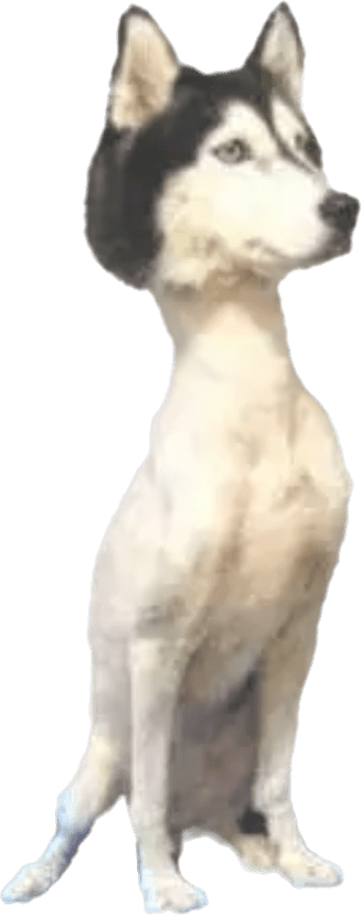 upload_2025-4-7_2-41-45.png