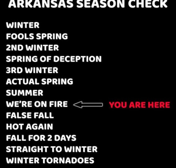 upload_2025-8-19_19-40-10.png