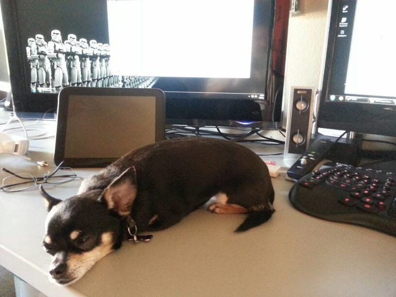 uploadfromtaptalk1400627317069.jpg