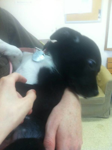 uploadfromtaptalk1405353570261.jpg