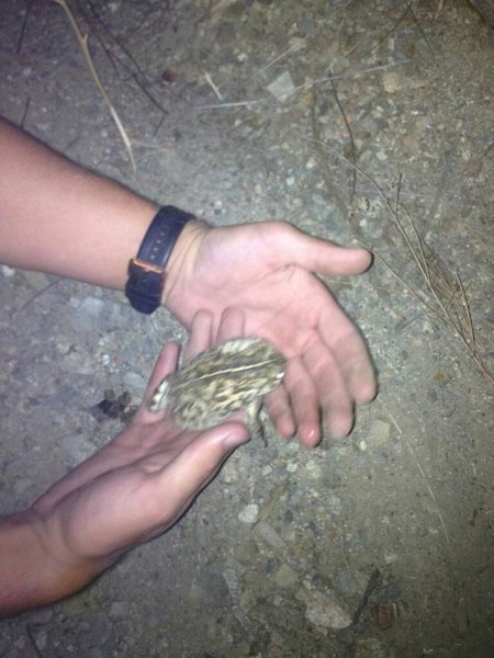 uploadfromtaptalk1410034514360.jpg