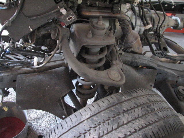 Upper Knee.jpg