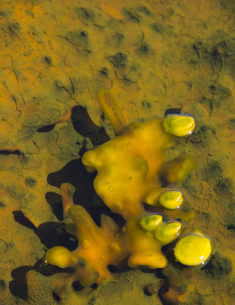 uppergeyserbasin_dabcd902afa21b8ec80d16da79cdb1d169aa3ca4.jpg