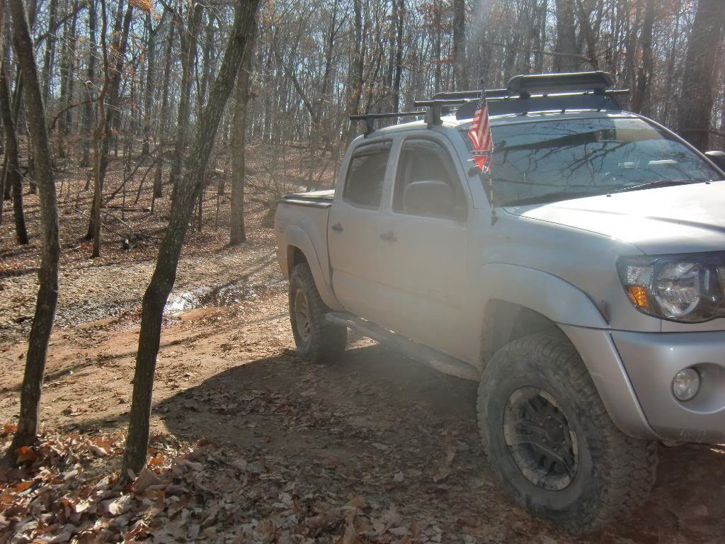 ureforest1069_68958ef333b5ef13aa4157d40549316c74e713d3.jpg