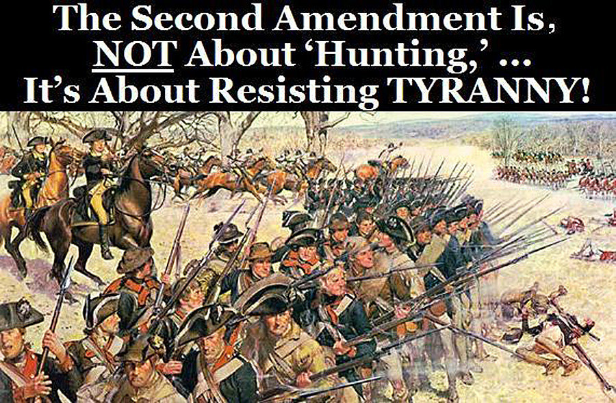 us-col-fighting-tyranny_zps2cc56e65_ca9cd02ed5606f32941ba7412d21f199080be14b.jpg