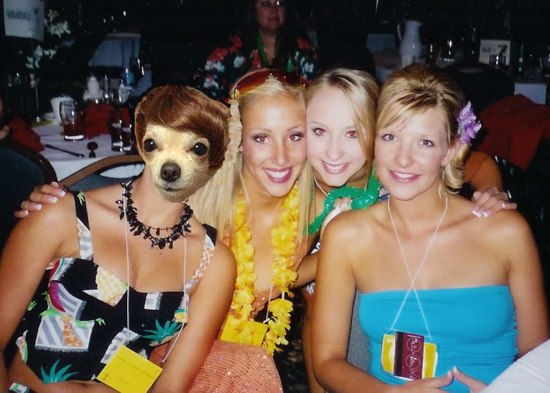 usagirls_17087ff4facf2f4763581a4bdb0d49a3038e9eb7.jpg