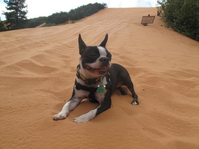 Utah041_e0df66c39c184c61704f97c3c34ab231c085ac15.jpg