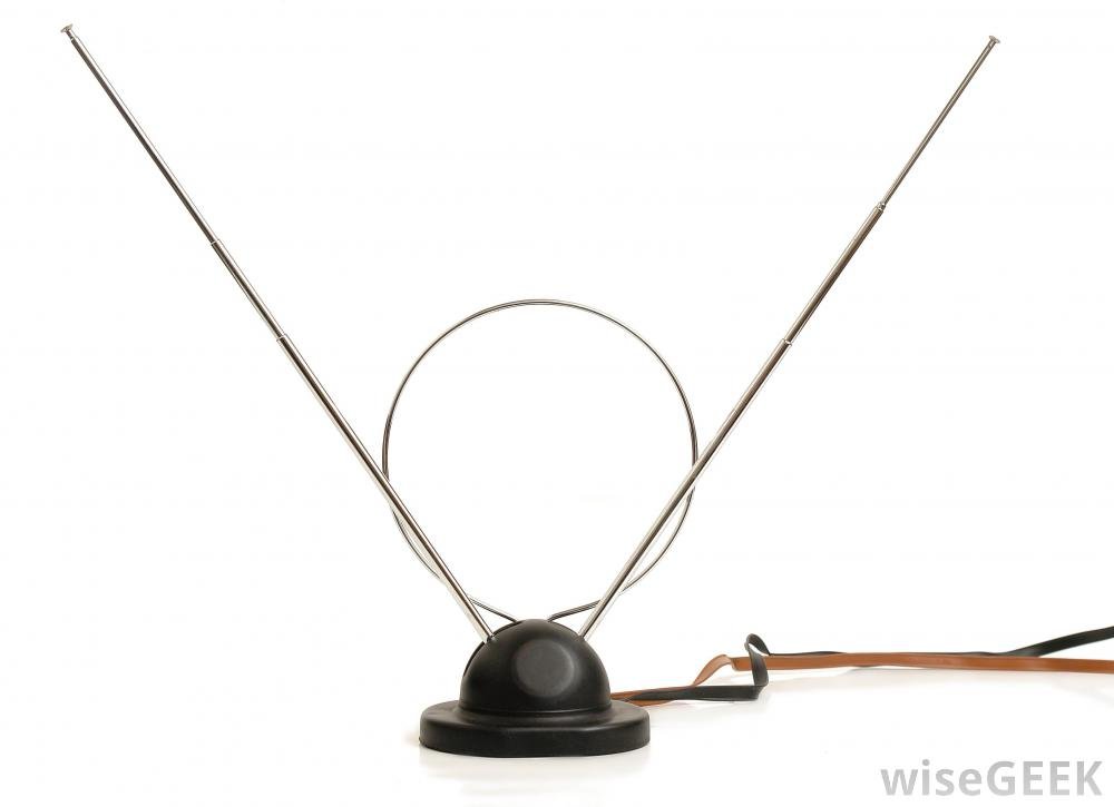 v-shaped-rabbit-ears.jpg
