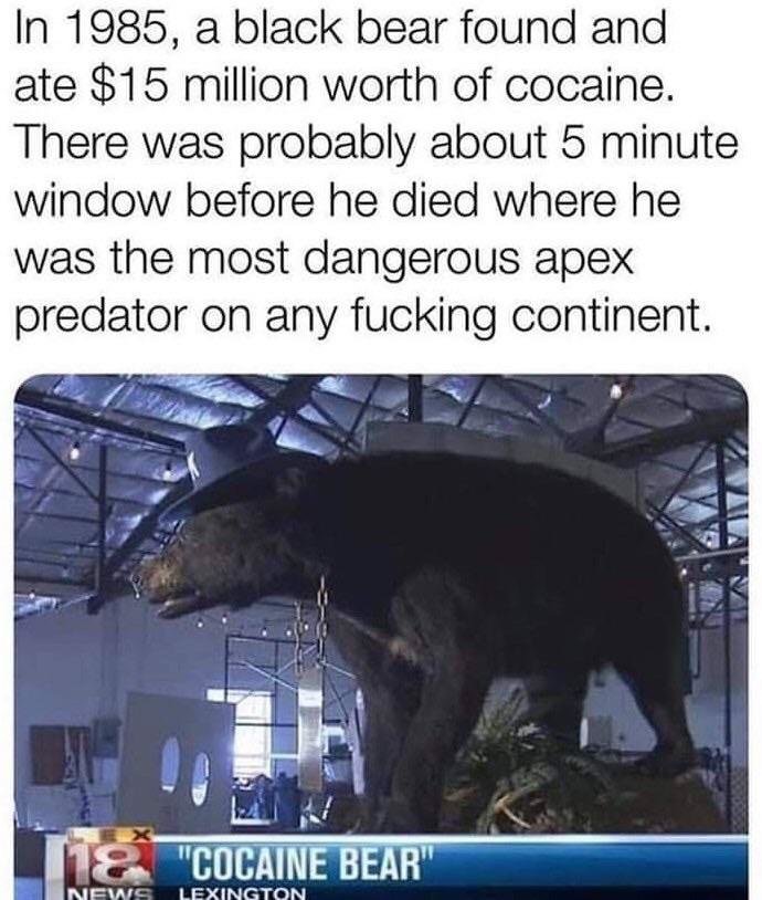 v23yeblwnqp31.jpg