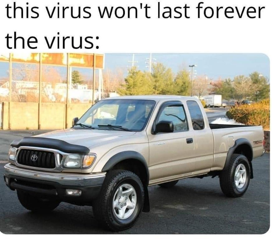 v4yz9gnd2ku41.jpg