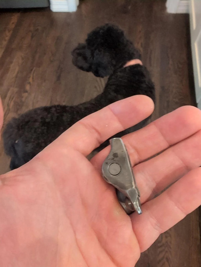 v6-tacoma-engine-failed-at-78k-miles-mechanic-found-a-loose-v0-yxxgosnybk7f1.jpg