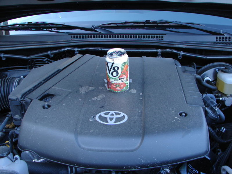 V8.jpg