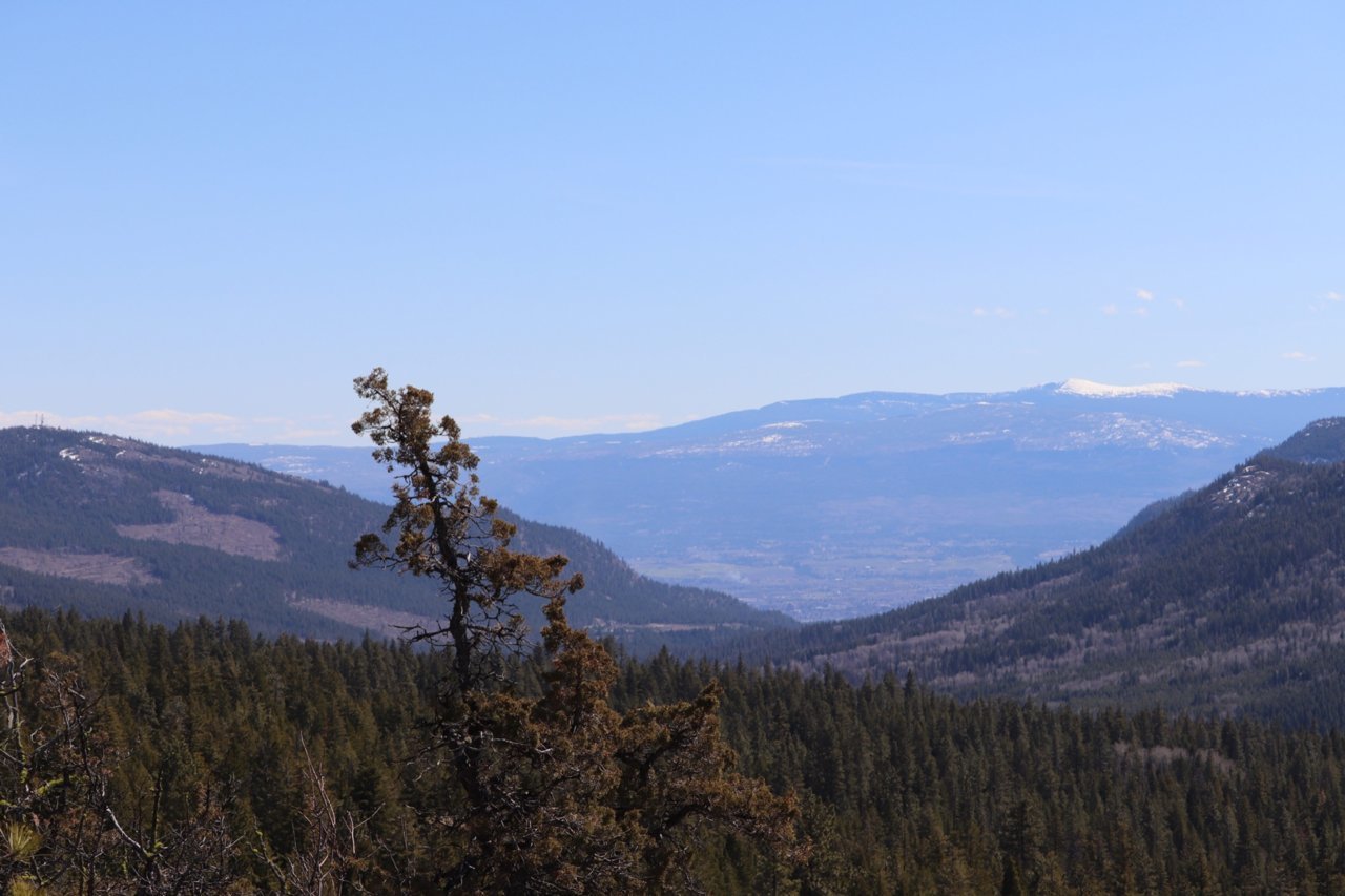 valley-view.jpg
