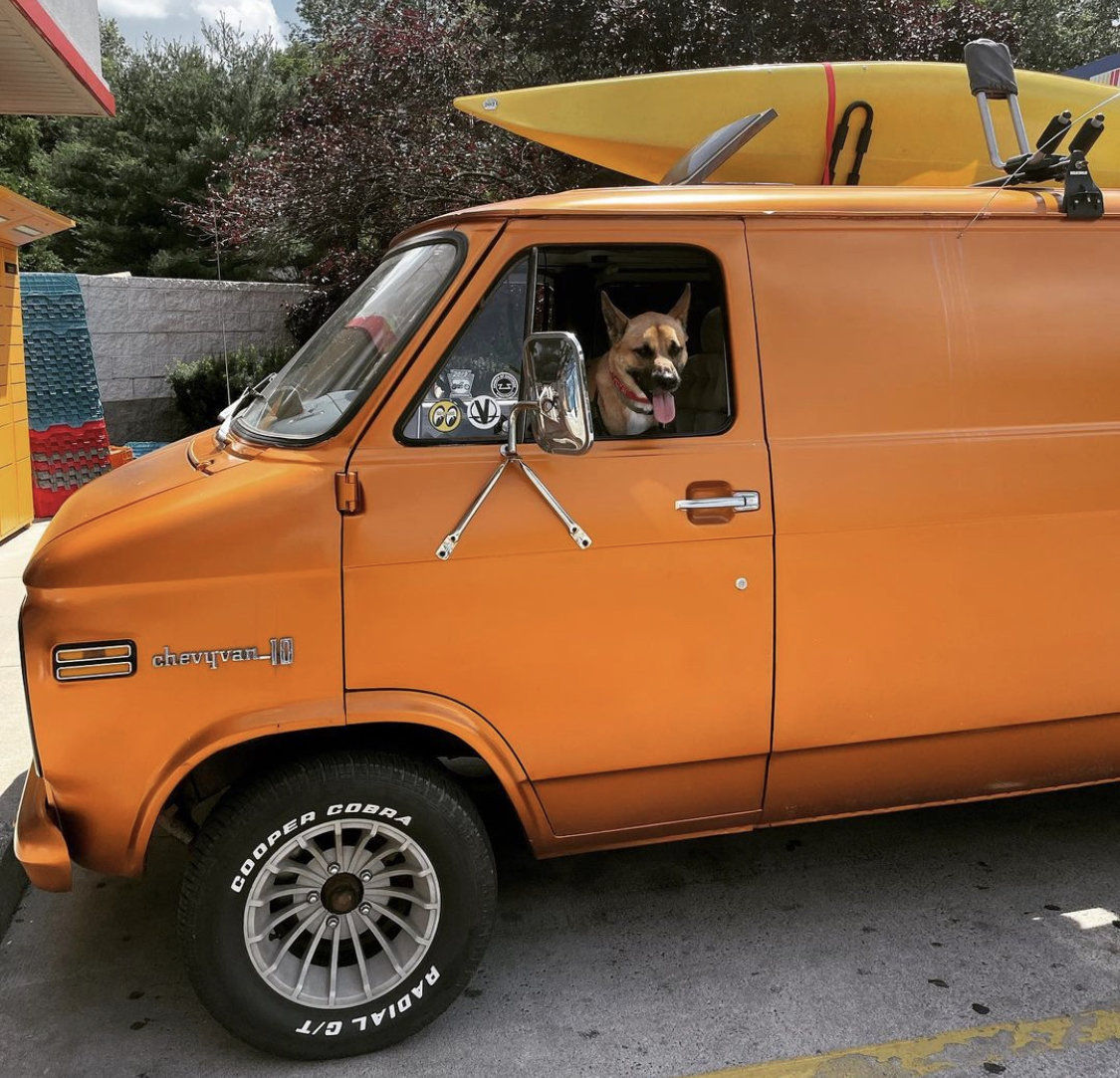 vandog.jpg
