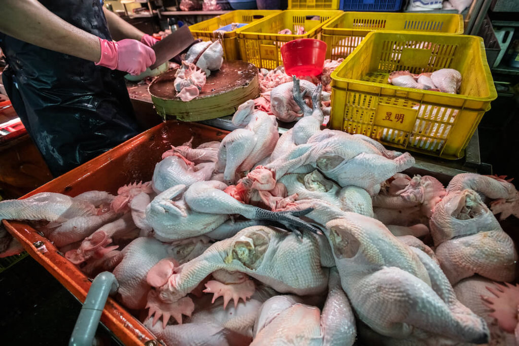 VEG-Chicken-Wet-Market_Taipei-Taiwan_CreditTo-Jo-Anne-McArthur-slash-We-Animals.jpg