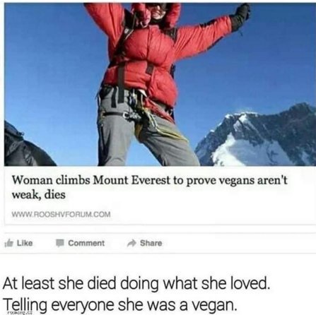 vegan.jpg