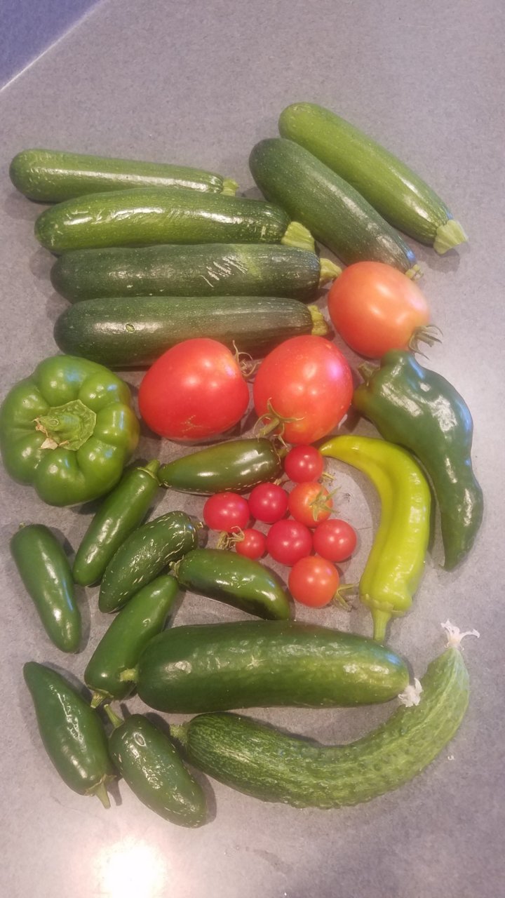 Veggies.jpg