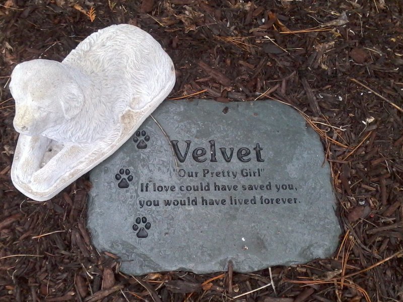 Velvet's memory gravestone.jpg