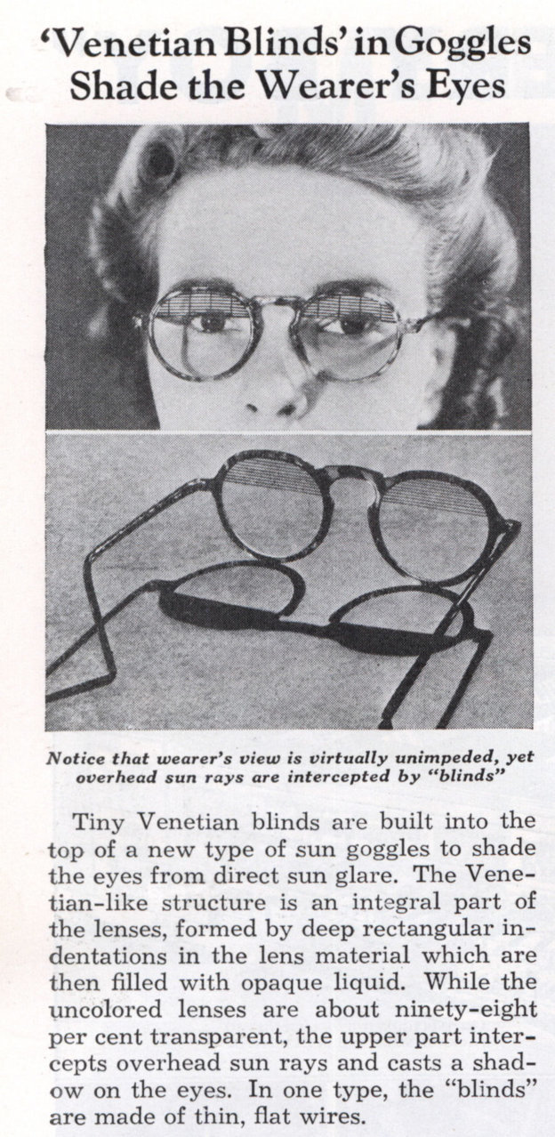 venetian_blind_gogles.jpg