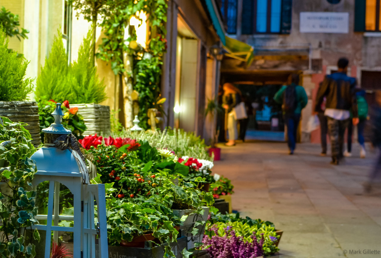 Venice Flower Shop.jpg