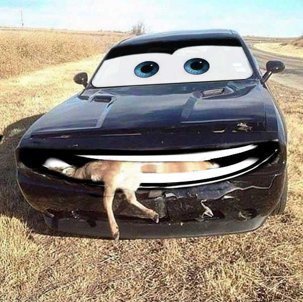 venisonchallenger.jpg